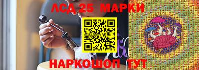 МДПВ Бердск