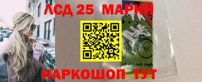МДПВ Бердск