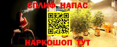 МДПВ Бердск