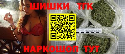 МДПВ Бердск
