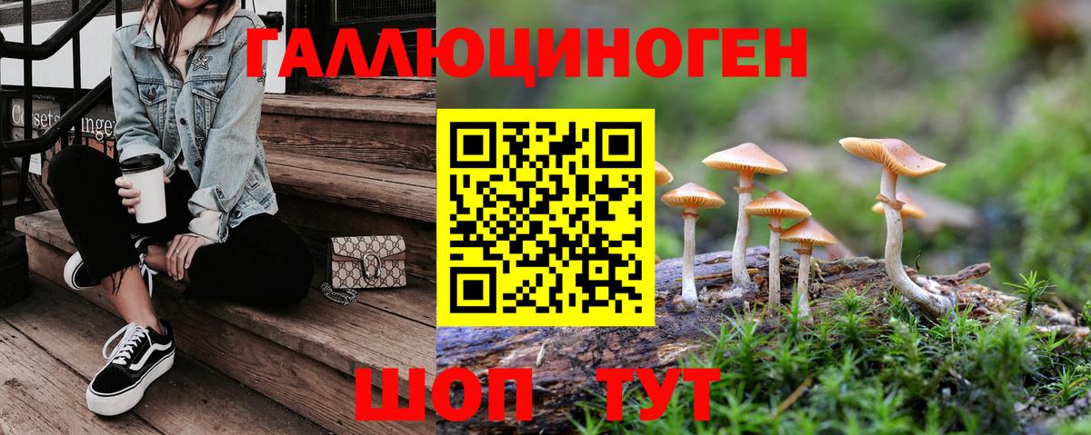 Артёмовский  где можно купить наркотик  Вход с VPN  Псилоцибиновые грибы мухоморы 